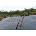 Fish Farm Pond Liner Liner 1.5mm Waterproofing LDPE Geomembrane